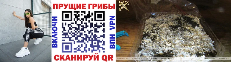 Галлюциногенные грибы мицелий Южно-Сухокумск
